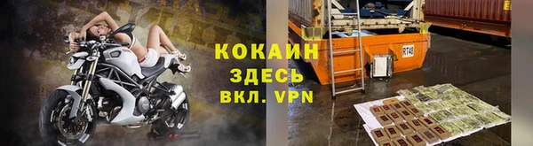сатива Аркадак