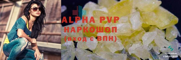 сатива Аркадак
