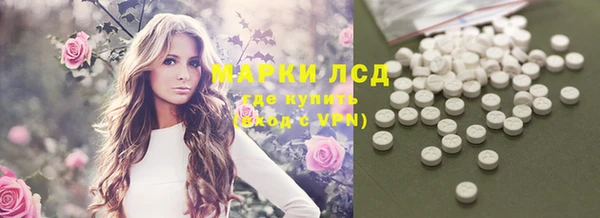 сатива Аркадак