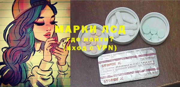 сатива Аркадак