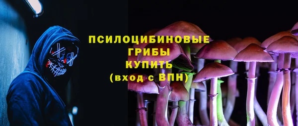 прущие грибы Арсеньев