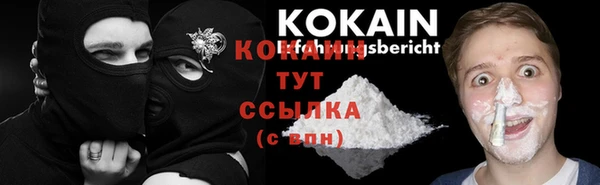 сатива Аркадак