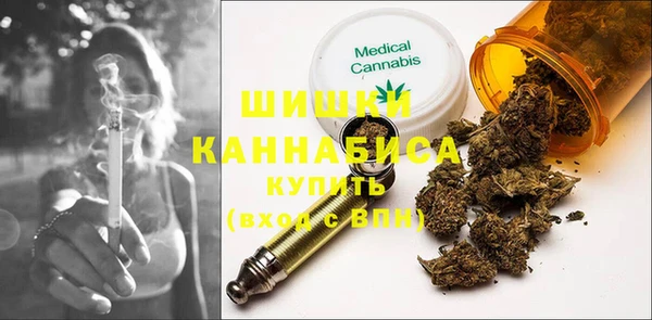 прущие грибы Арсеньев